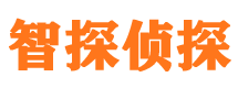 大名市私家侦探